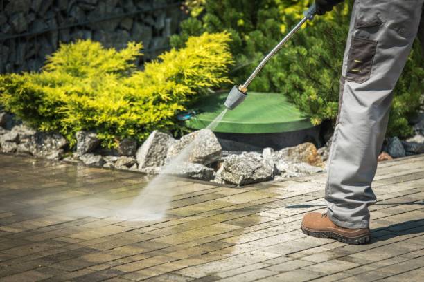 Best Pre-Holiday Cleaning  in Palmetto Bay, FL